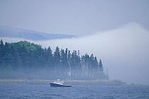 Downeast lobster boat in low mist off Mount Desert Island, Maine, USA.