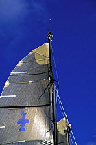 Crew members hoisted to the masthead of America's Cup IACC yachts to clip on the mainsail head before sailing.