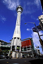 Auckland's Sky Tower, North Island, New Zealand