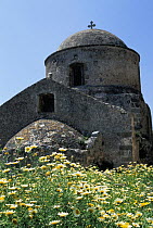 Wild daisies surround a Byzantine church in Monemvasia, Greece.