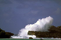Storm surf breaking on rocks in Vava'u, Tonga, Pacific Islands.