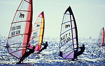 Windsurfers racing in New England, USA.