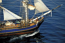 Tall Ship "Bounty" sailing off Newport, Rhode Island, USA