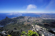 Aerial view across Cape Town to Lion's Head and the Cape coast from the top of Table Mountain, Cape Town, South Africa.