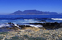 View of Cape Town, Table Mountain and Lion's Head from Robben Island, 12km off the coast, South Africa.