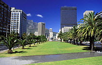 Cape Town's smart foreshore area, rapidly establishing itself as the city's new financial district, South Africa.