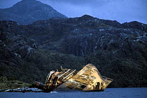 A ship wreck lying abandoned on rocks in the Chilean waterway.