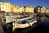 A line of boats moored in the sunny harbour of St Tropez, France.