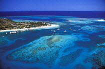 An aerial view of moored cruising yachts and patches of coral reef, Puerto Rico, Caribbean.