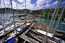 Masthead view of yachts moored in Falmouth marina during the Antigua Classics Race Week Regatta, 1998.