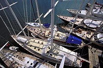 Masthead view of yachts moored in Falmouth marina during the Antigua Classics Race Week Regatta, 1998.