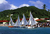 Crowds watching the fleet of traditional workboats preparing for the Le Mans start, Grenada Sailing Festival, Grenada, Caribbean.