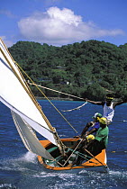Workboat crew hiking hard the island way during Grenada Sailing Festival, Grenada, Caribbean.