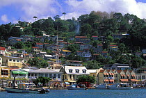 Waterfront buildings on the hillside overlooking St Georges Harbour, Grenada, Caribbean.