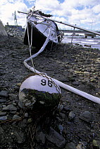 A yacht with a broken mooring chain washed ashore during a storm off Newport, Rhode Island, USA.