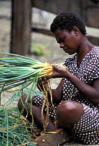 Local woman preparing vegetables on Vanuatu's Espiritu Santo island, Pacific Islands
