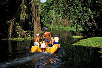 A group of tourists cruise along the Matevulu river in an inflatable boat, Vanuatu, Pacific Islands