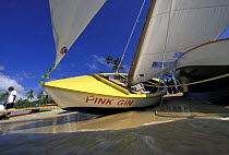 Traditional workboat "Pink Gin" lie ashore between races, Grenada Sailing Festival, Caribbean.