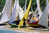 Grenada Sailing Festival boats on Grande Anse beach, Grenada, Caribbean.