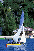 Grenada Sailing Festival entry sails close along the Grand Anse beach shore, Caribbean.