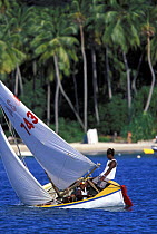 Grenada Sailing Festival workboat heeling close to the shore, Caribbean.