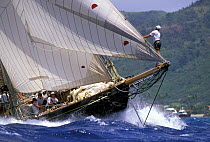 Nathaniel Herreshoff's schooner "Mariette", built in 1915, racing at Antigua Classic Yacht Regatta 2005. Model Released (bowman only) and Property Released.