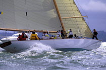 Crew aboard 12 metre "Onawa" preparing the spinnaker pole for the windward mark rounding at the America's Cup Jubilee, Isle of Wight, England 2001.