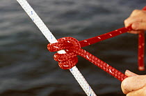 A rolling hitch knot tied onto a sheet.