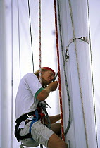 Rig maintenance, inspecting the inside of a megayacht mast from the bosuns chair.