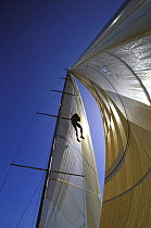 A crew member being hoisted up the mast of a race boat.