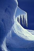 Glistening icicles hanging off an iceberg, Antarctica.