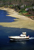 Alden power boat on a Cape Cod waterway, New England, USA.
