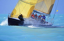 On the layline to the weather mark, the bowman prepares the spinnaker as the crew watch the mark, Key West Race week, Florida, USA.