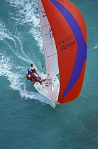 Melges 24 planing downwind under spinnaker at Key West Race Week, Florida, USA.