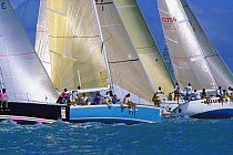Fleet on the starting line at Key West Race Week, Florida, USA.