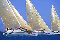 Chessie Racing and other yachts at the start of their race during Key West Race Week, Florida, USA.