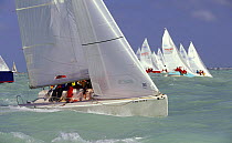 Melges 24 fleet starting at Key West Race Week, Florida, USA.