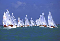 Melges 24 fleet start at Key West Race Week, Florida, USA.