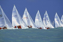 Melges 24 fleet starting at Key West Race Week, USA.