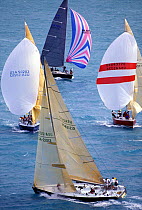Infinty beats upwind through the fleet sailing downwind at SORC off Miami, Florida, USA