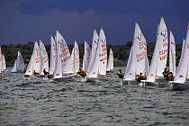 Fleet on the start line for the 420 Youth Worlds, Newport, Rhode Island, USA.