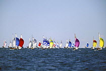 505 dinghies racing downwind at the World Championships in Hayannis, Massachusetts, USA