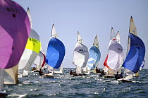 505 dinghies racing at the World Championships in Hayannis, Massachusetts, USA