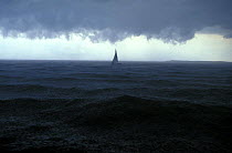 Lone Laser dinghy during a squall at the 1996 Atlanta Olympics in Savanah, Georgia, USA.  Editorial Use Only.