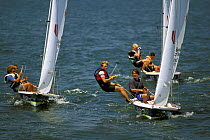 Laser 2 crews sailing hard upwind.