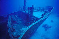 Bow of the wreck of "El Aquila" or the "Eagle", Sandy Bay, Roatan, Honduras.