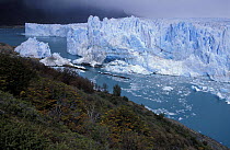 A front view of the Perito Moreno glacier and Lago Argentino, Los Glaciares National Park, Argentina, Patagonia