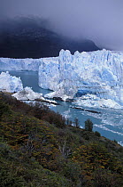 A front view of the Perito Moreno glacier and the Lago Argentino, Los Glaciares National Park, Patagonia, Argentina
