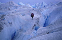 Person walking between crevices on the Perito Moreno glacier, Los Glaciares National Park, Patagonia, Argentina