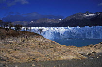 The front of Perito Moreno glacier and Lago Argentino, Los Glaciares National Park, Argentina, Patagonia, South America